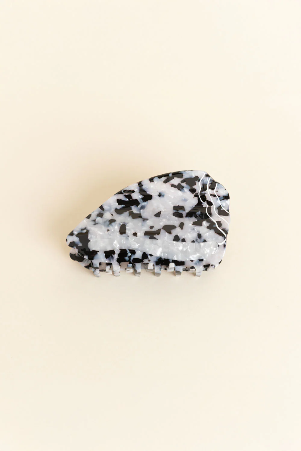 Hair Claw - Hebrew Cone Shell - Image 3