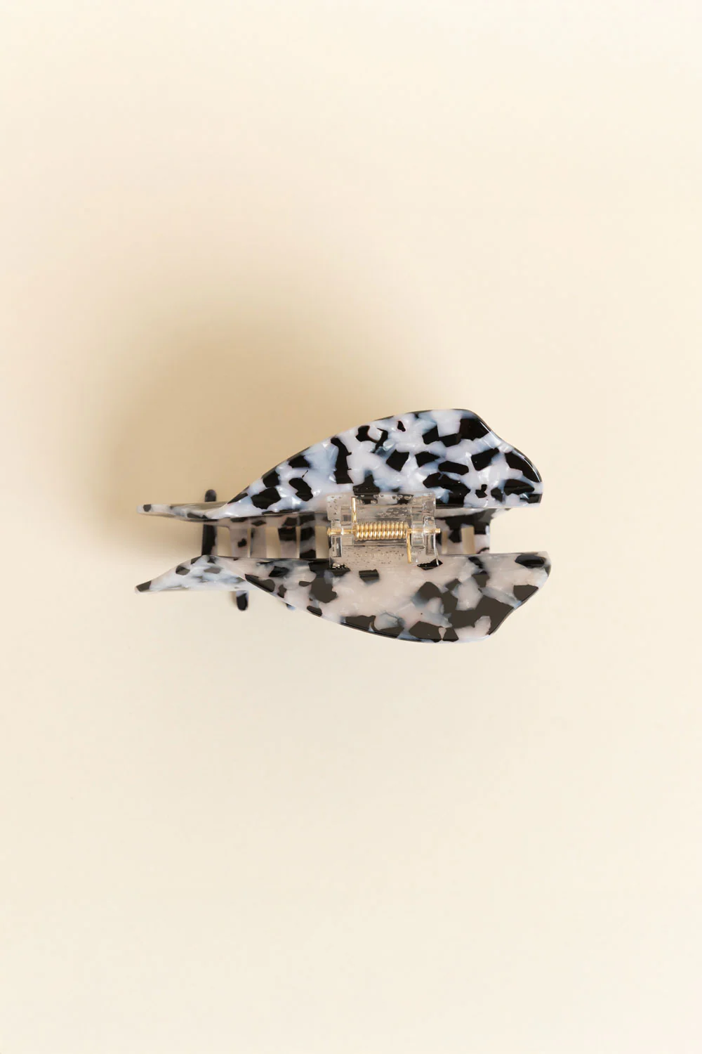 Hair Claw - Hebrew Cone Shell - Image 5