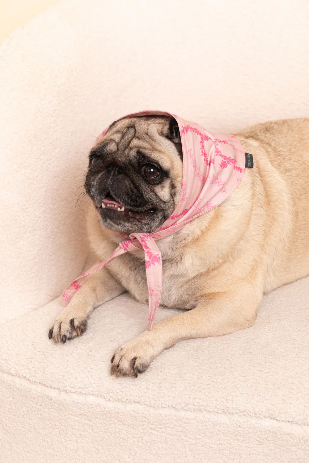 Pet Bandana - Rosey Plumeria Lei - Image 4