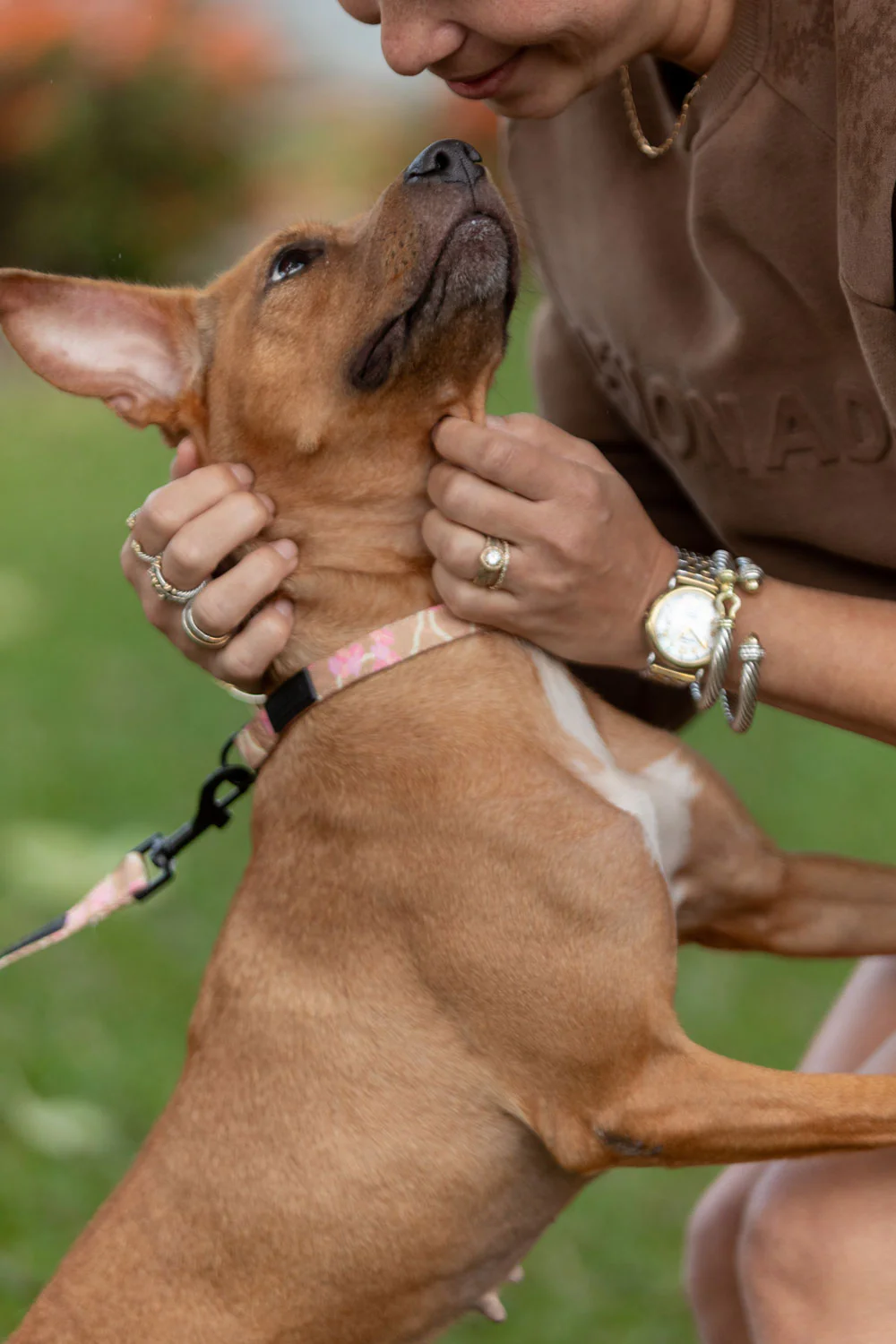 Pet Collar - Mocha Woven Lei - Image 4