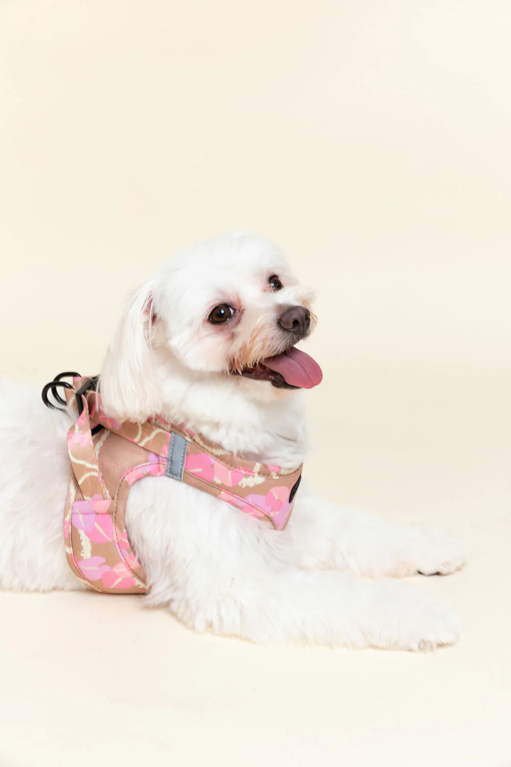 Pet Harness - Mocha Woven Lei - Image 3