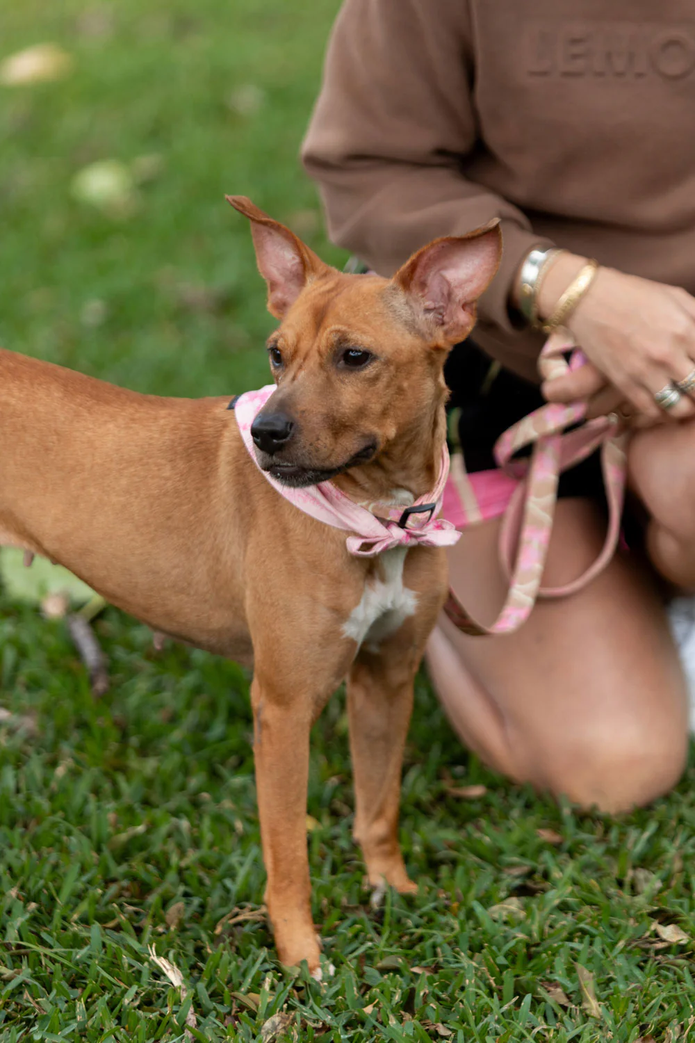 Pet Leash & Poop Bag Holder - Mocha Woven Lei - Image 2
