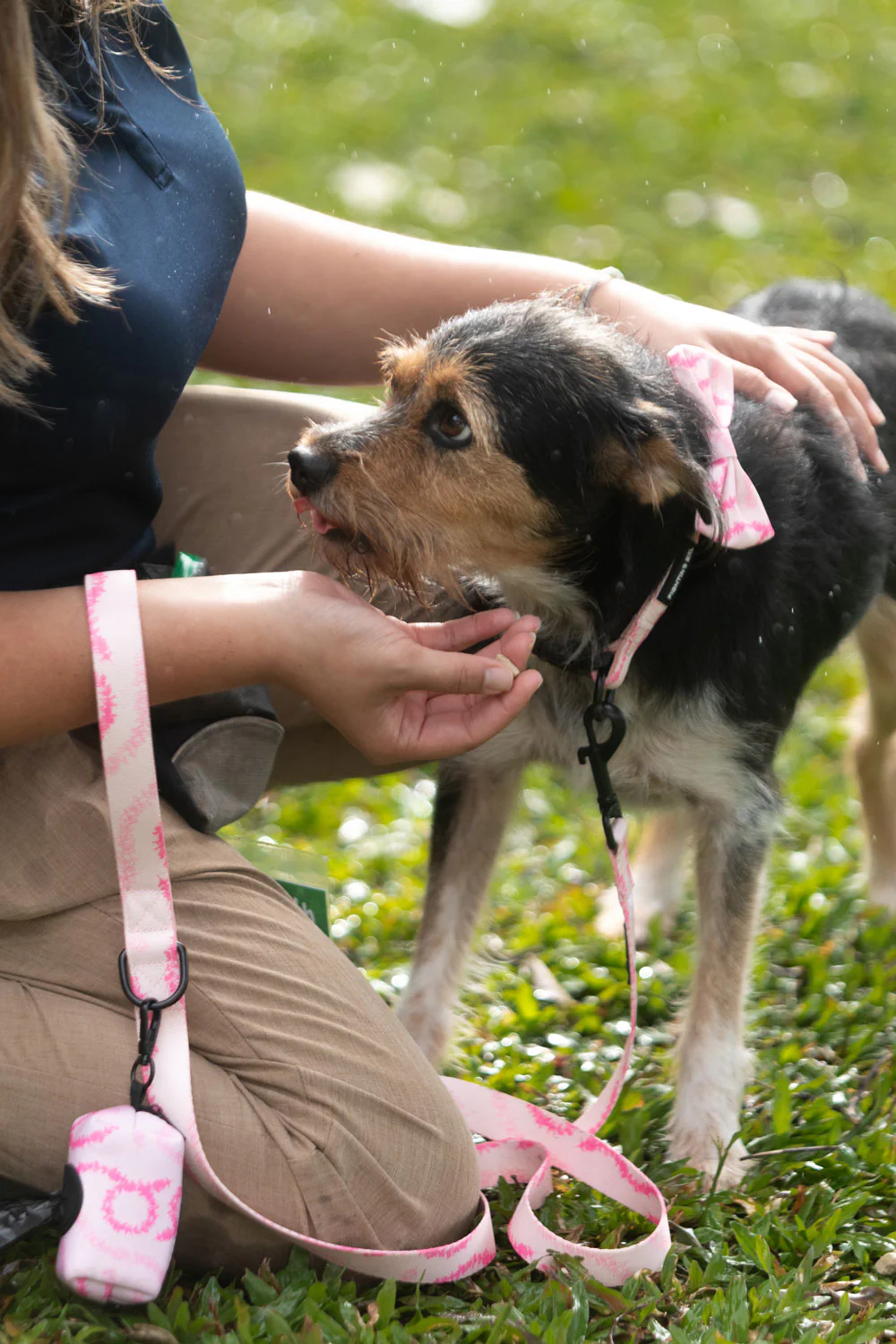 Pet Leash & Poop Bag Holder - Rosey Plumeria Lei - Image 2