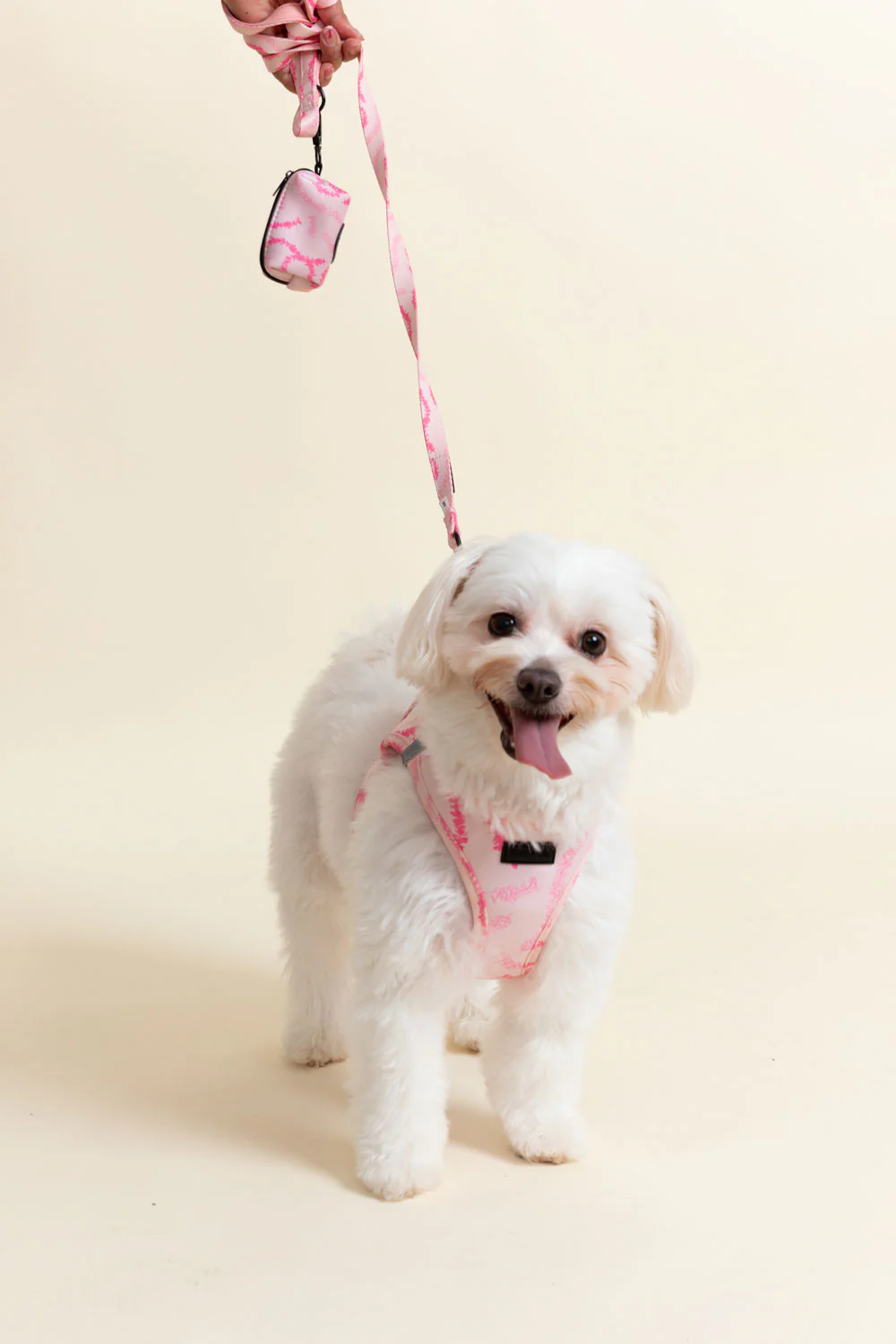 Pet Leash & Poop Bag Holder - Rosey Plumeria Lei - Image 4